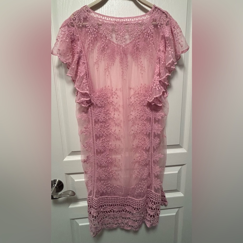 Pink Lace Overlay Dress embroidered with ruffled sleeves sheer - Picture 4 of 16